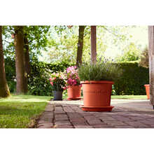 Вазон ELHO Algarve Cilindro 30 см Terracotta (529000)