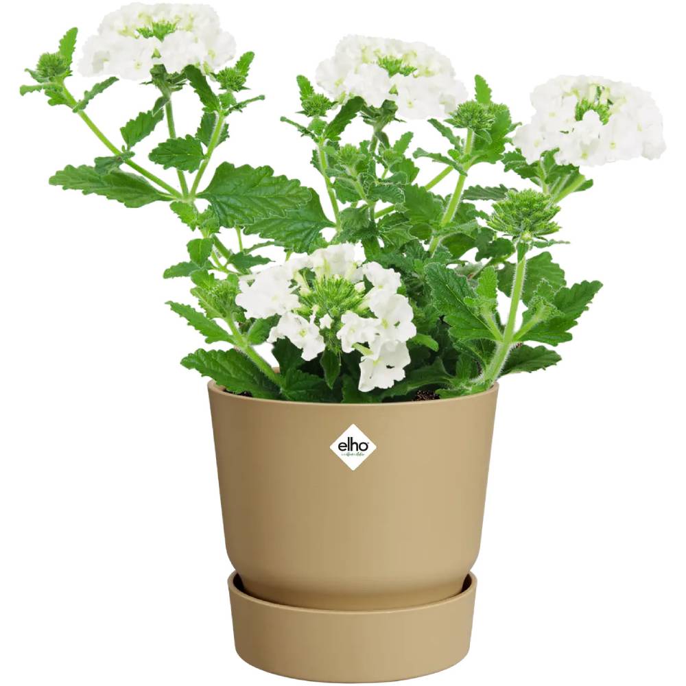 Фото 3 Горщик для рослин ELHO Greenville Round 2,1 л Beige (537951)