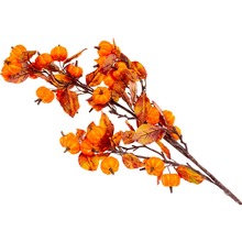 Веточка декоративная ELEN DEKOR 85 см (820-062)