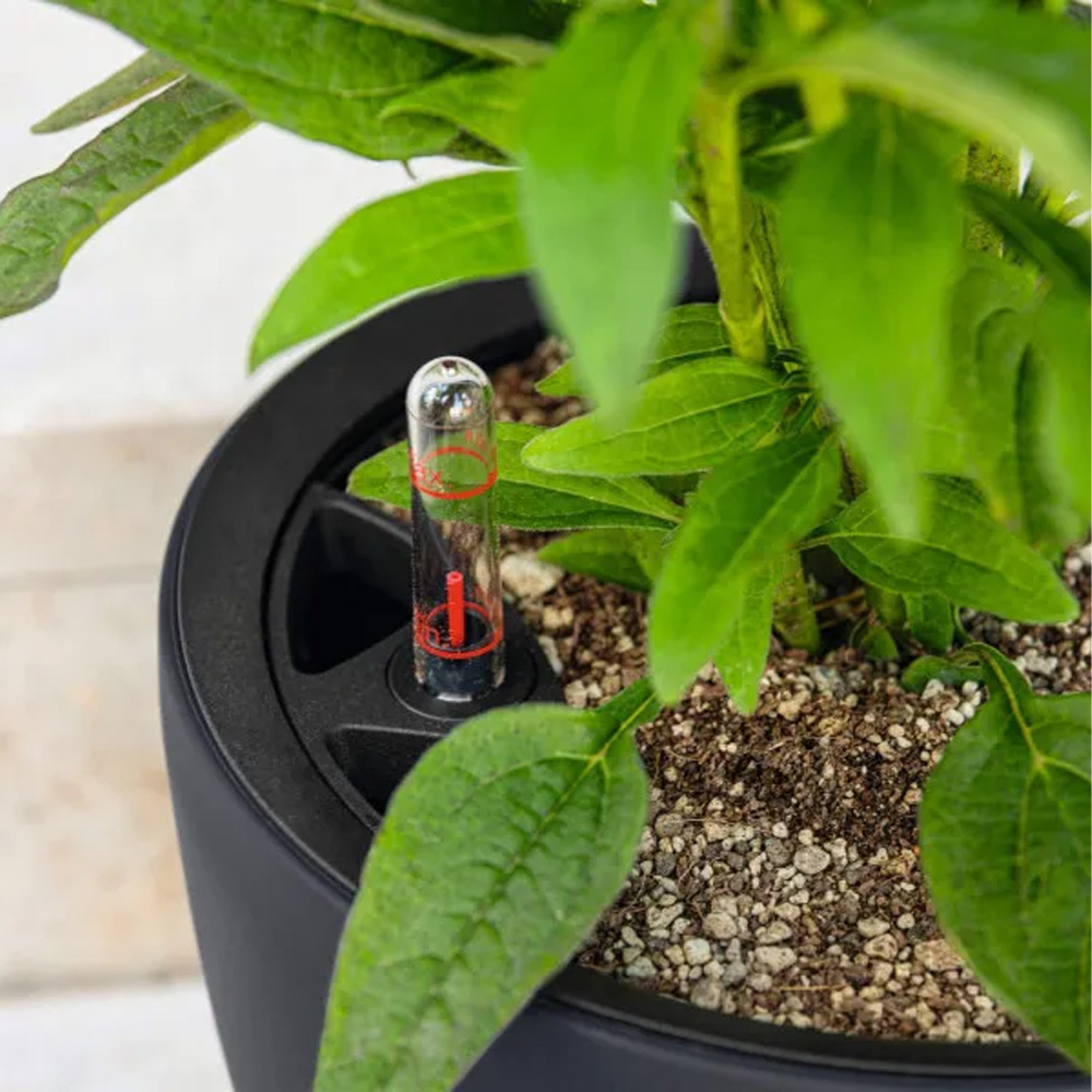 Фото 2 Горшок для растений LECHUZA 14263 CLASSICO Color LS 21 Muscatel