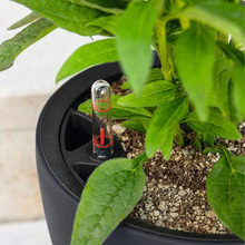 Горшок для растений LECHUZA 14263 CLASSICO Color LS 21 Muscatel