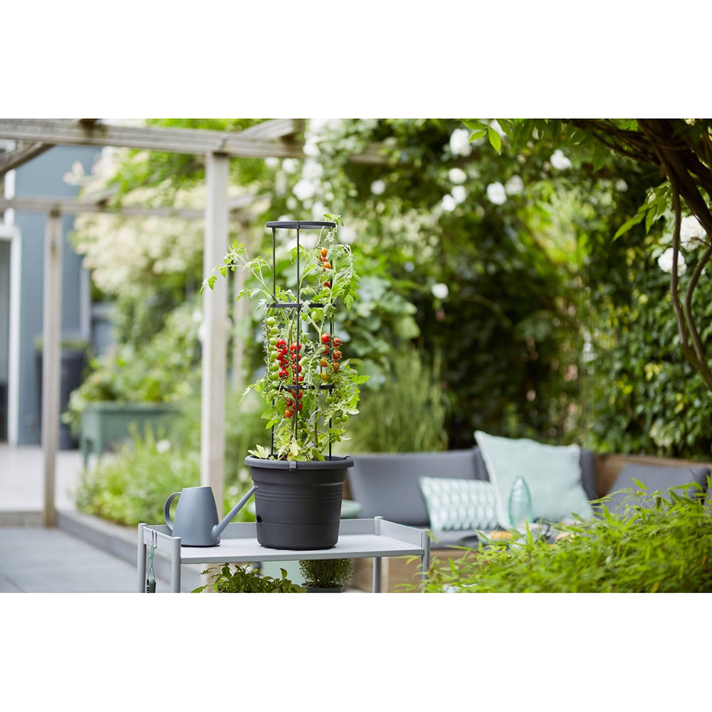 Фото 4 Горшок для растений ELHO Green Basics Tomatentopf 33 x 25 см Black (331634)