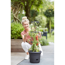 Горшок для растений ELHO Green Basics Tomatentopf 33 x 25 см Black (331634)