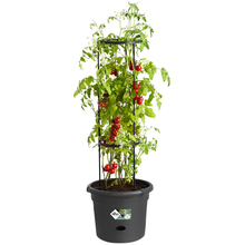 Горшок для растений ELHO Green Basics Tomatentopf 33 x 25 см Black (331634)