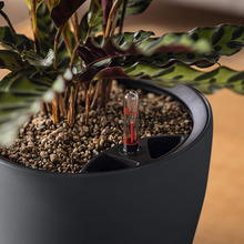 Кашпо LECHUZA CLASSICO Color LS 21 песочно-коричневый (14262)