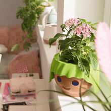 Горщик для рослин LECHUZA OJO Green (19042)