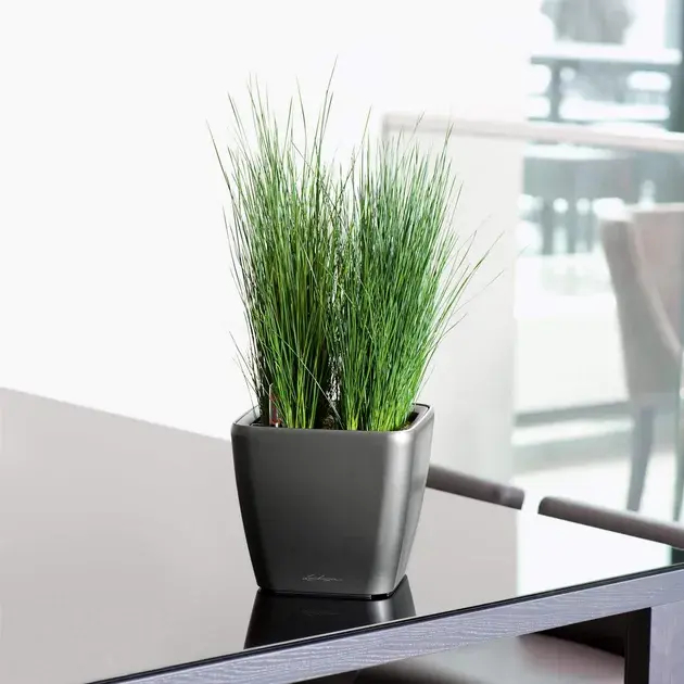 Внешний вид Горшок для растений LECHUZA Quadro Premium LS 21 Anthracite (16123)