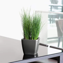 Горшок для растений LECHUZA Quadro Premium LS 21 Anthracite (16123)