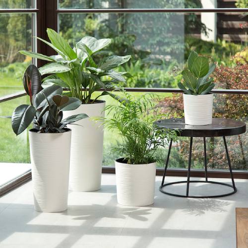 Вазон LAMELA LILIA DLUTO 9.5 л White (9057269) Вазон LAMELA LILIA DLUTO 9.5 л White (9057269) Дополнительно изделие изготовлено из прочного пластика, устойчивого к ультрафиолету, царапинам и перепадам температур