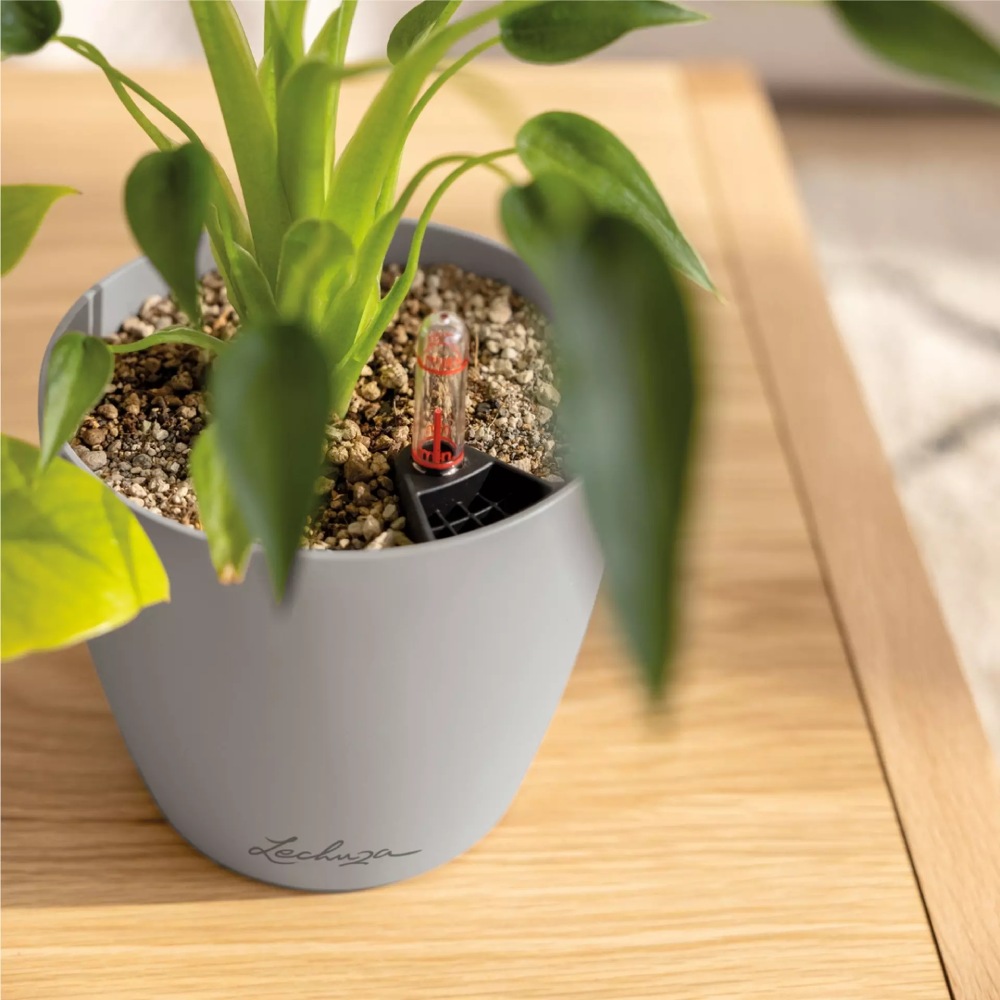 Фото Горшок для растений LECHUZA Classico Color 12 Grey (16690)