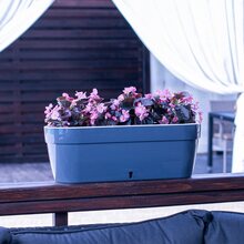 Горщик для рослин SANTINO Asti Window Box 50х17х20 см антрацит-білий (2021519)