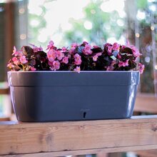 Горщик для рослин SANTINO Asti Window Box 50х17х20 см антрацит-білий (2021519)