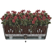 Вазон SANTINO Asti Window Box 12 л White-Black (2021489)