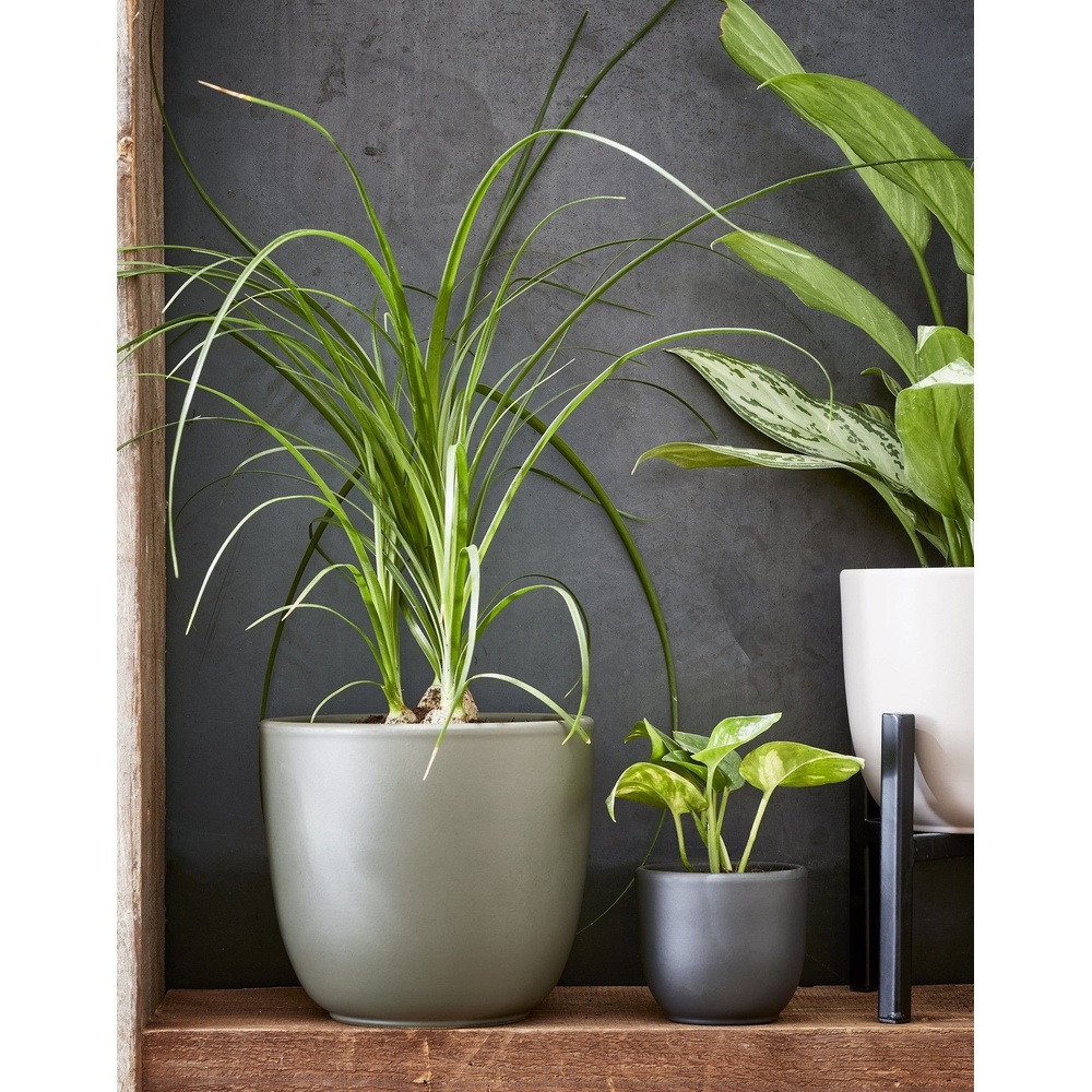 Фото 4 Кашпо EDELMAN Tusca 11.9 л 28 см Green (1057292)