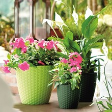 Вазон STEFANPLAST Natural 14 см Light Green (8003507734579)