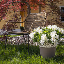 Вазон STEFANPLAST Opera Cloe 30 x 29 см White/Travertine (94150)