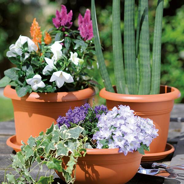 Підставка під вазон STEFANPLAST Linea Mediterraneo 33см Terracotta (83330) Матеріал пластик