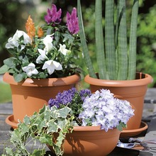 Горщик для рослин STEFANPLAST Linea Mediterraneo (82220)