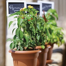 Горщик для рослин STEFANPLAST Linea Mediterraneo (82450)