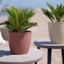 Горщик для рослин STEFANPLAST LIBERTY 30 см Brown (87325)