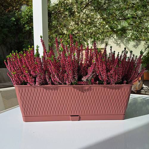 Горщик для рослин STEFANPLAST Liberty 50х18х16см Brown (87569) Матеріал пластик