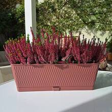 Горщик для рослин STEFANPLAST Liberty 50х18х16см Brown (87569)