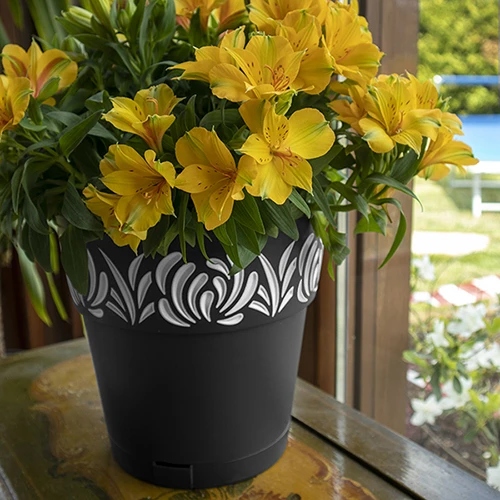 Горшок для растений STEFANPLAST OPERA Gaia 25см Gray/White (88501) Дополнительно Обьем: 7.5 л; с автополивом