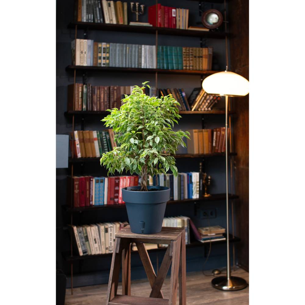 Изображение Вазон SANTINO Latina с картриджем 11,5 л Anthracite (2002945)