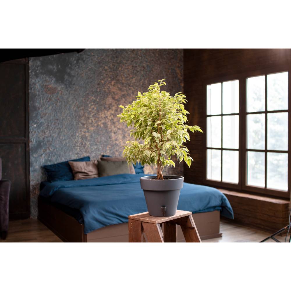 Покупка Вазон SANTINO Latina с картриджем 11,5 л Anthracite (2002945)