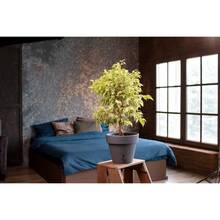 Вазон SANTINO Latina с картриджем 11,5 л Anthracite (2002945)