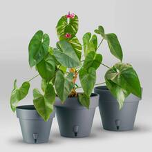 Вазон SANTINO Latina с картриджем 2,5 л Anthracite (2006844)