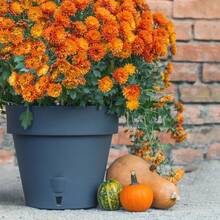 Вазон SANTINO Latina с картриджем 3,7 л Anthracite (2007681)