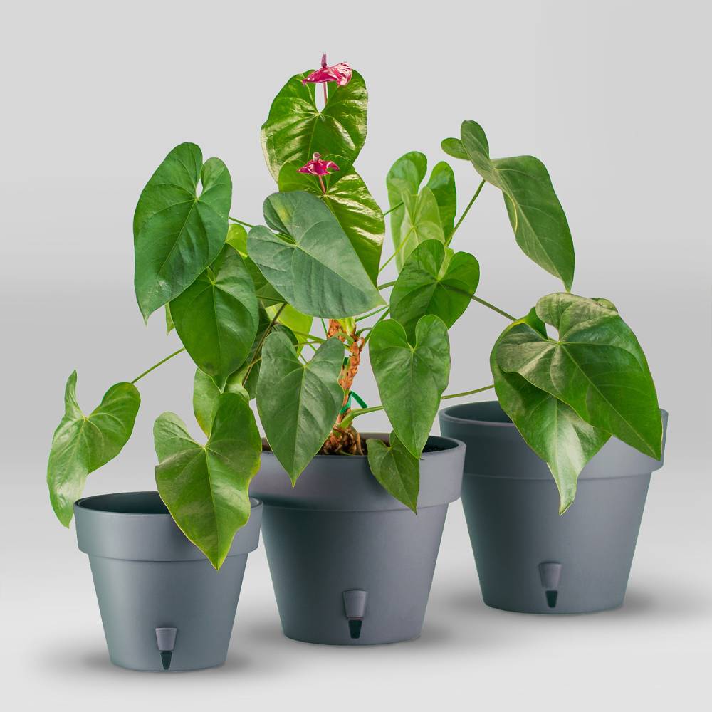 Фото Вазон SANTINO Latina з картриджем 9,1 л Anthracite (2008640)