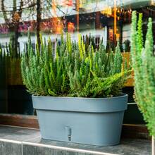 Вазон SANTINO Latina WB с картриджем 6,7 л Shade (2007247)