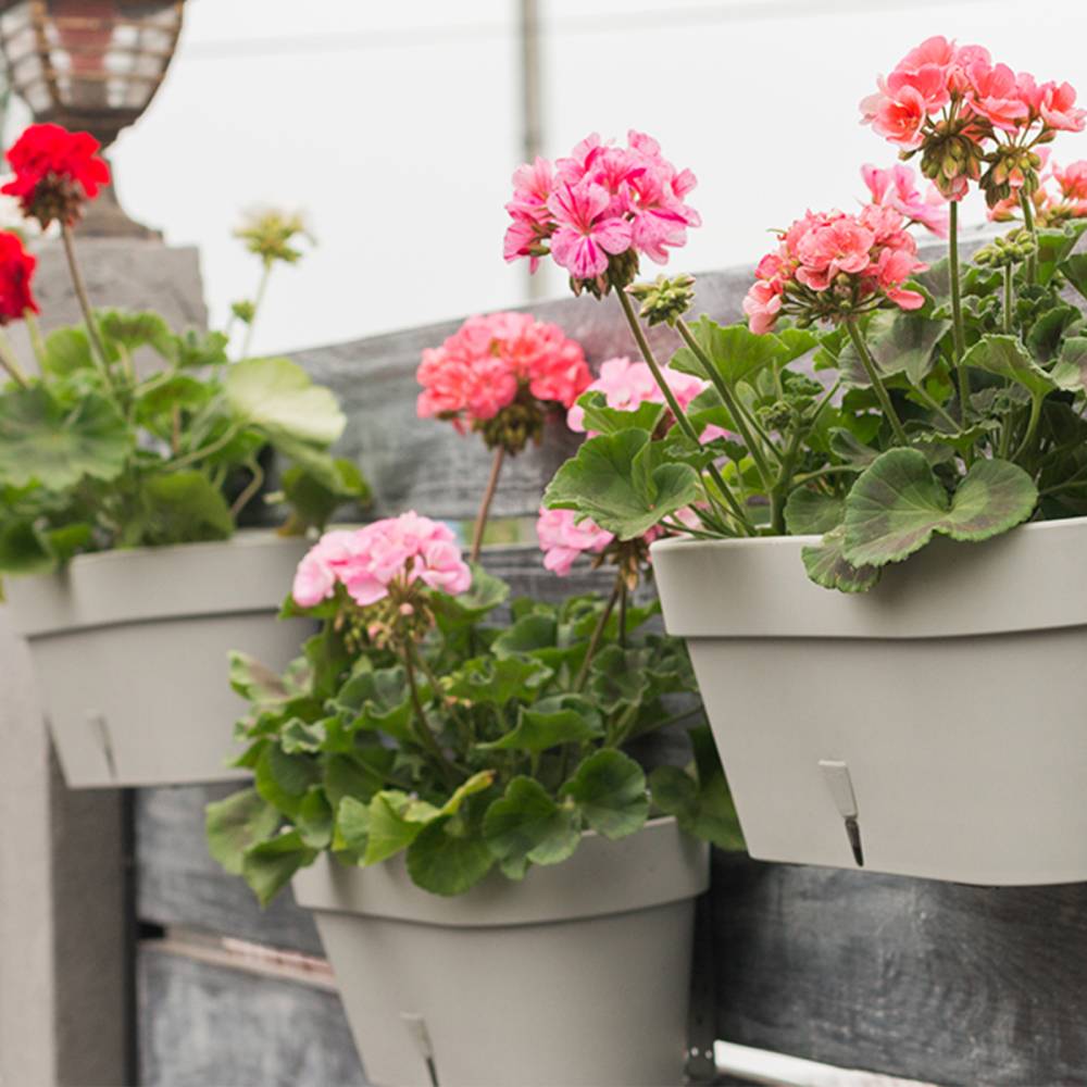 Покупка Вазон SANTINO Latina WB с картриджем 6,7 л Shade (2007247)