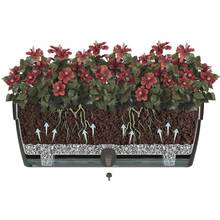 Вазон SANTINO Asti Window Box 12 л Shade (2021496)