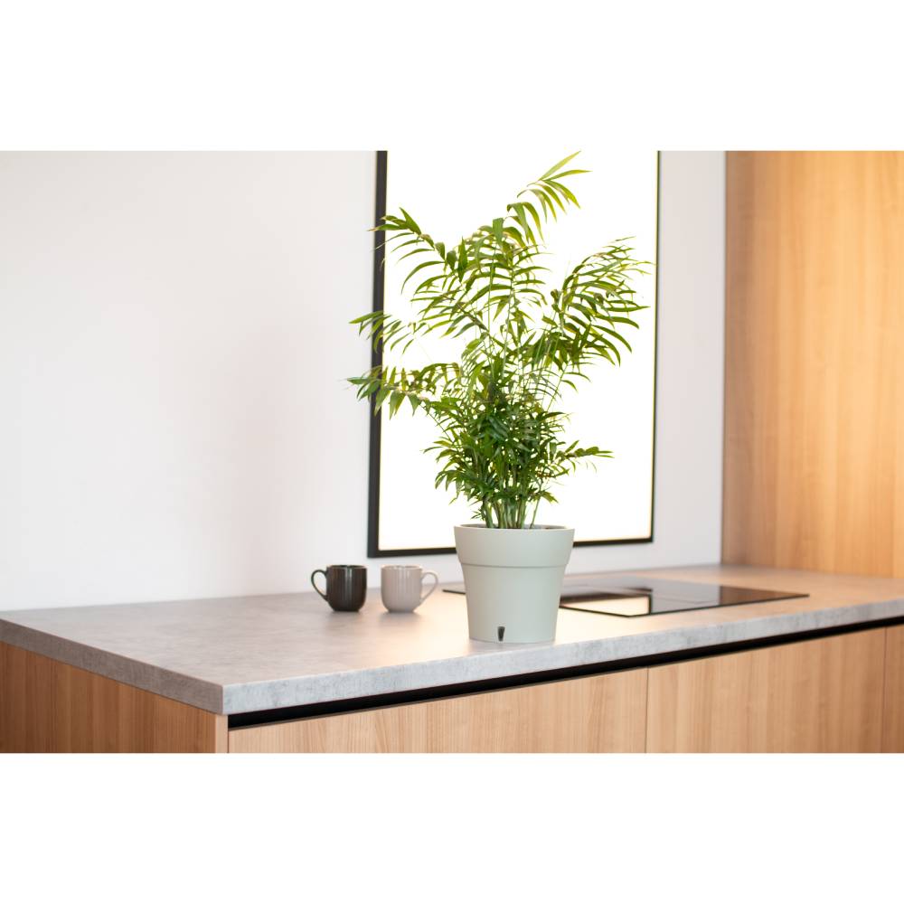 Вазон SANTINO Dali 1,2 л Creamy (2022417) Дополнительно Размер:135x125 мм; Диаметр: 13,5 см; Объем: 1,2 л; Подставка: нет; Автополив: да, с индикатором уровня воды;