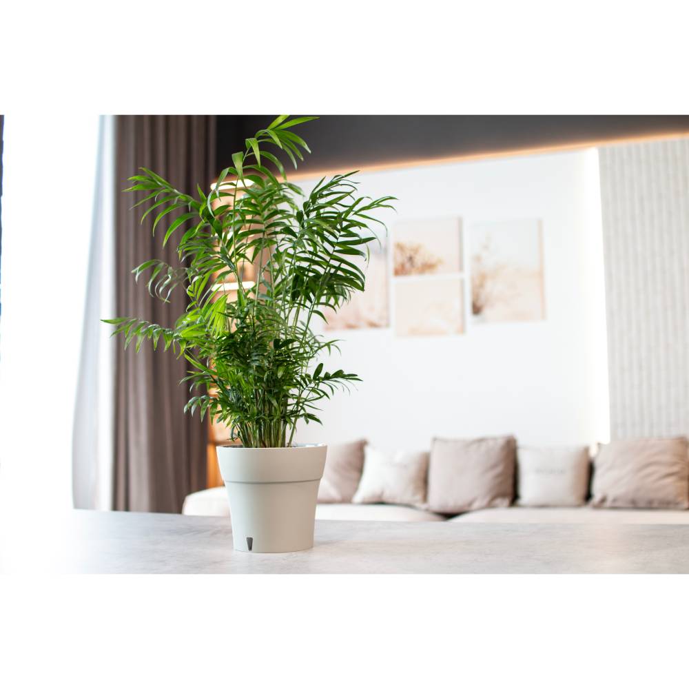 Фото Вазон SANTINO Dali 5 л Creamy (2022561)