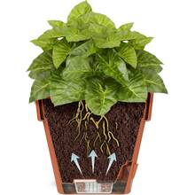 Вазон SANTINO Latina с картриджем 3,7 л Creamy (2023025)