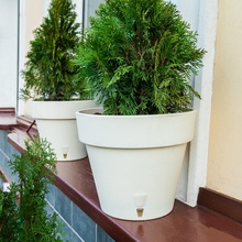 Вазон Santino Latina 5,6 л Cream (2023032)