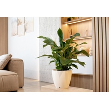 Вазон Santino Deco Twin 4 л Cream (2023100)