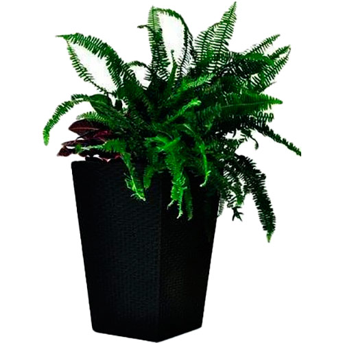 Горщик для рослин KETER Medium Rattan Planter Brown (17192301)