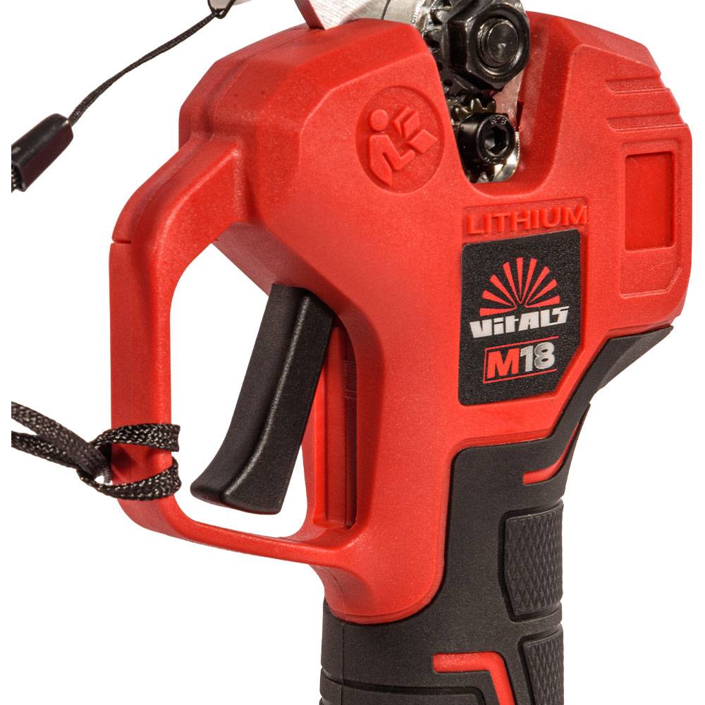 Покупка Секатор акумуляторний VITALS Master AG 1825c BL (235296)