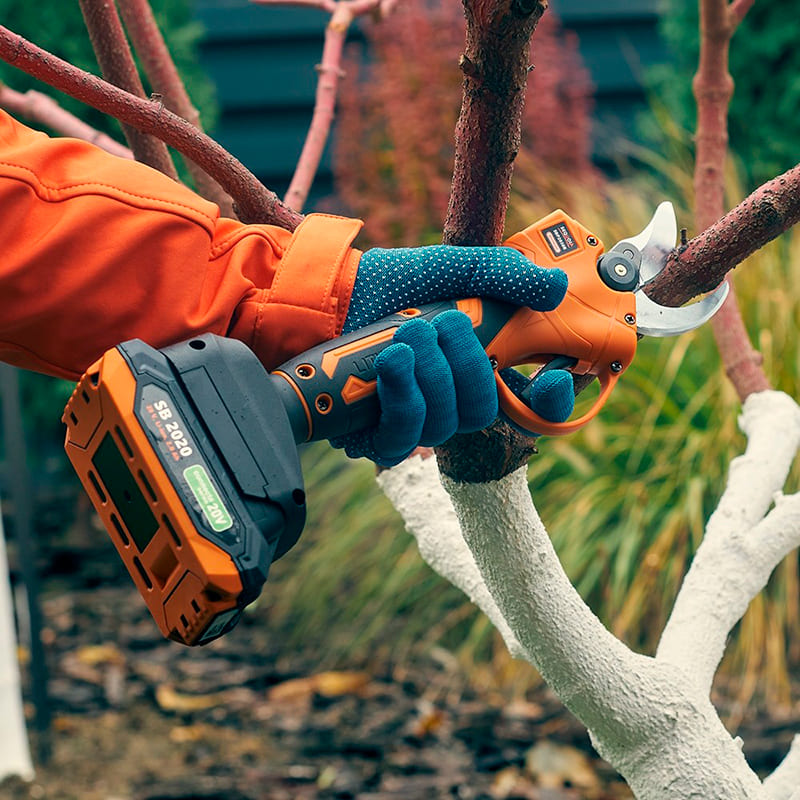 Покупка Секатор SEQUOIA SBP2030B-QV