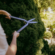 Ножиці FISKARS для живоплоту HS22 (1001433)