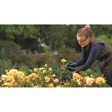 Секатор акумуляторний BOSCH EasyPrune (0.600.8B2.102)