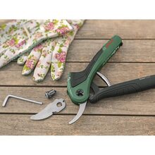Секатор акумуляторний BOSCH EasyPrune (0.600.8B2.102)