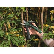 Секатор акумуляторний BOSCH EasyPrune (0.600.8B2.102)