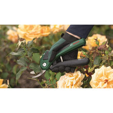 Секатор акумуляторний BOSCH EasyPrune (0.600.8B2.102)