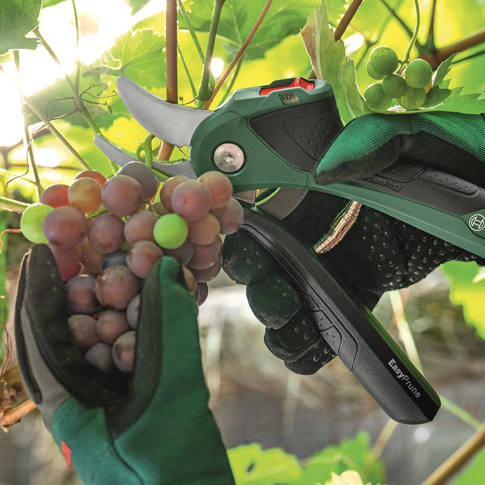 Фото 14 Секатор акумуляторний BOSCH EasyPrune (0.600.8B2.102)